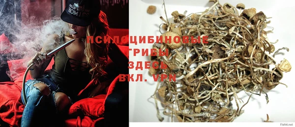 ECSTASY Абаза