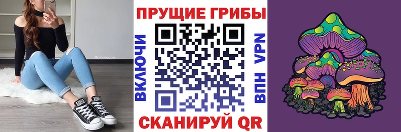 Галлюциногенные грибы Psilocybine cubensis купить Серпухов