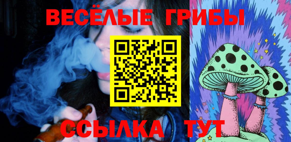 Галлюциногенные грибы MAGIC MUSHROOMS  Вход с VPN  Серпухов 